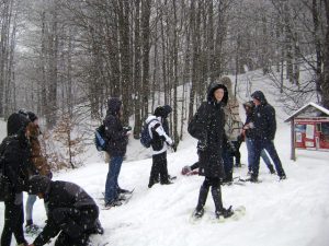 A Dolomitokban Cserekapcsolat